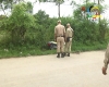 Unknown miscreants shoots a man accused of raping a girl in 2013