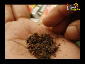 Study says tobacco use has increased in Manipur, Assam and Tripura