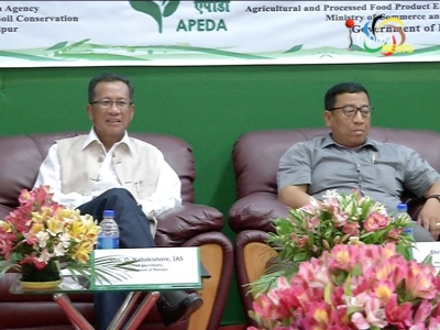 Manipur govt to generate 105 mega watt from solar energy, to set up solar energy plant in six months